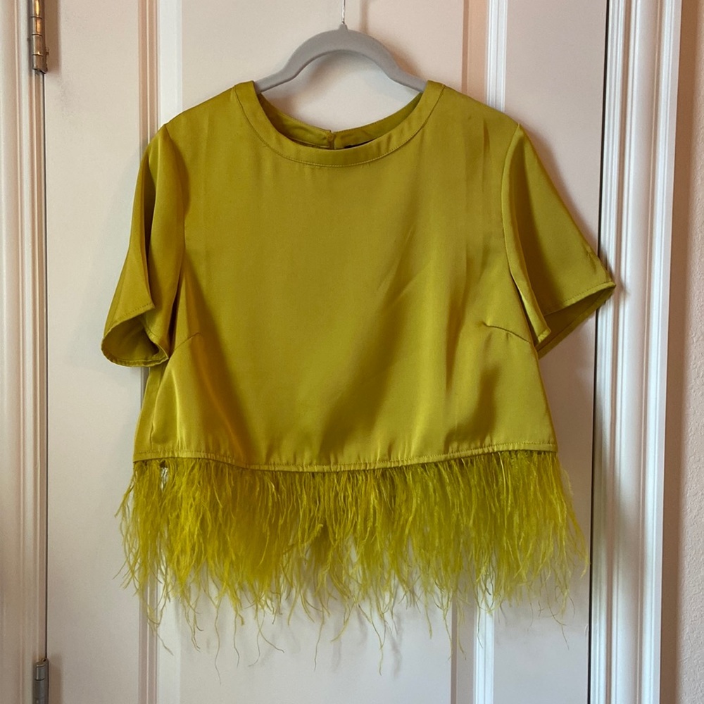 Feather Trim Satin Crop Top